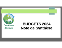2024_Synthèse-Budgets